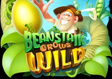 Beanstalk Grows Wild